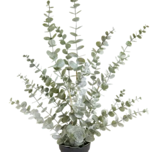 Eucalyptus kunstplant H 76cm X B 40cm