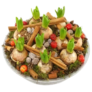 Witte Hyacinten deco schaal ca. Ø 30cm