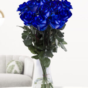 10 blauwe rozen - XL rozen