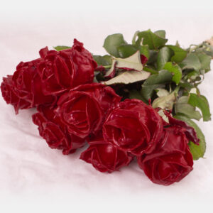 10 bordeaux rode waxrozen