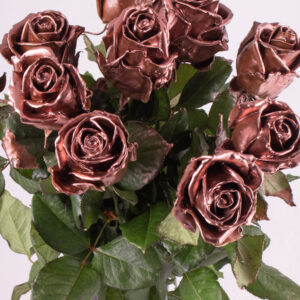 10 koperkleurige waxrozen