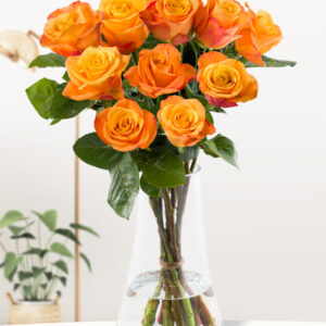 10 oranje rozen - Confidential