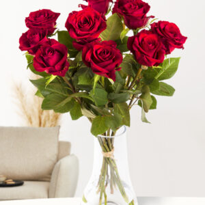 10 rode rozen - XL rozen - EverRed