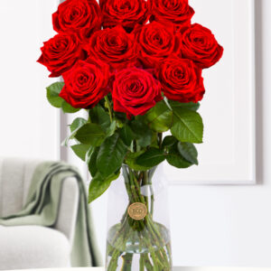 10 rode rozen XL - Red Naomi