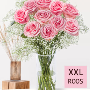10 roze rozen met gipskruid (XXL rozen)