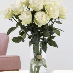 10 witte rozen uit Ecuador