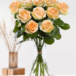 10 zalmkleurige rozen - XL rozen - Avalanche Peach