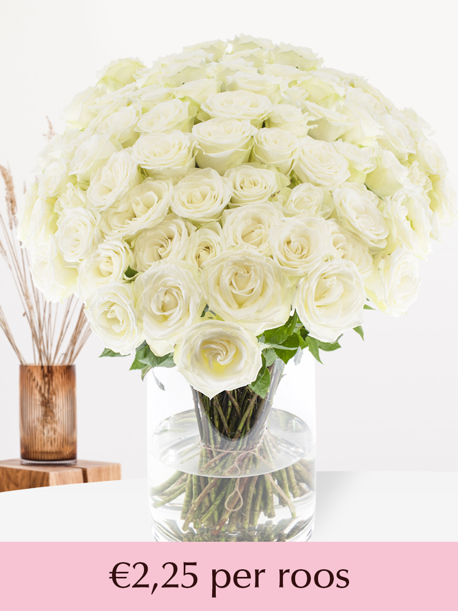 100 tot en met 499 witte rozen - XL rozen - Snowstorm
