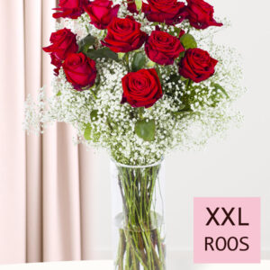 15 rode rozen met gipskruid (XXL rozen)