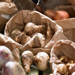 Bloembollenset - Set van 25 - Tulipa, Hyacinthus - Bloembollen - Roze