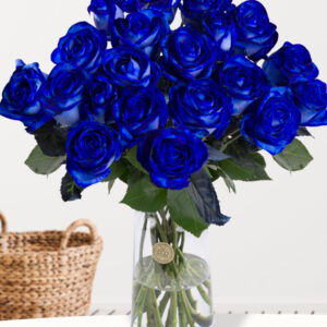 20 blauwe rozen - XL rozen