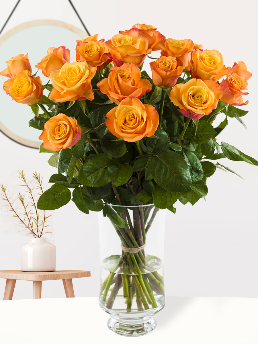 20 oranje rozen - Confidential