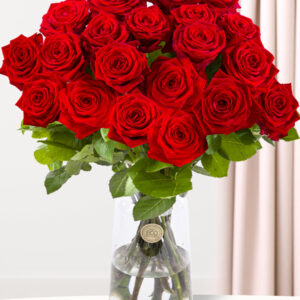 20 rode rozen - XL rozen - Red Naomi