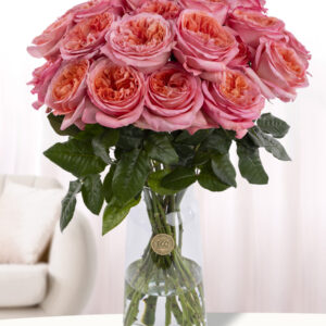 20 roze rozen uit Ecuador