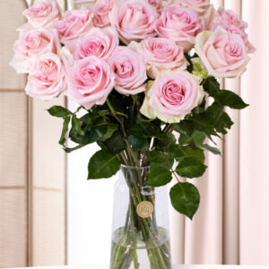 20 zachtroze rozen - XL rozen - Sweet Revival