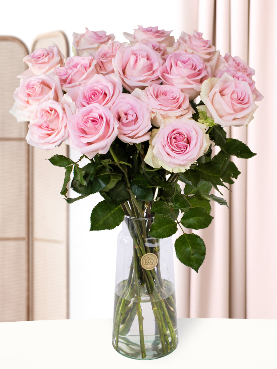 20 zachtroze rozen - XL rozen - Sweet Revival