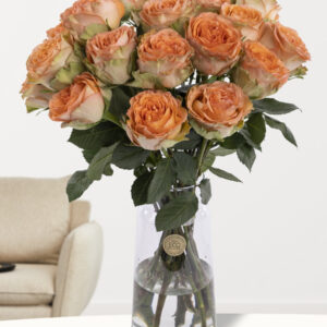 20 zalmkleurige rozen uit Ecuador