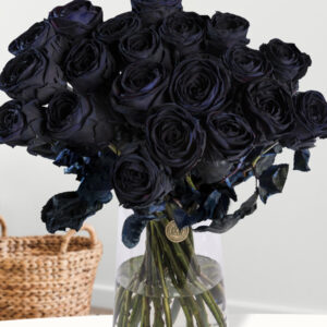 20 zwarte rozen - XL rozen
