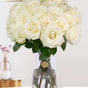 25 witte rozen - XL rozen - Snowstorm