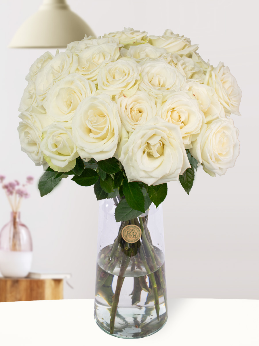 25 witte rozen - XL rozen - Snowstorm