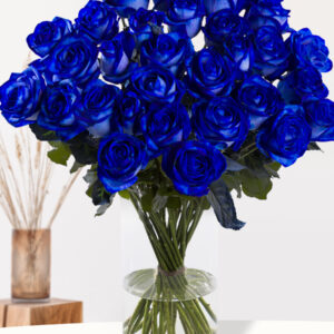 30 blauwe rozen - XL rozen