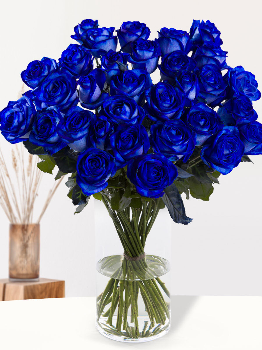 30 blauwe rozen - XL rozen