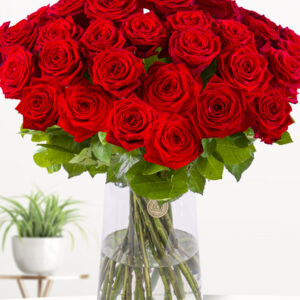 30 rode rozen XL - Red Naomi