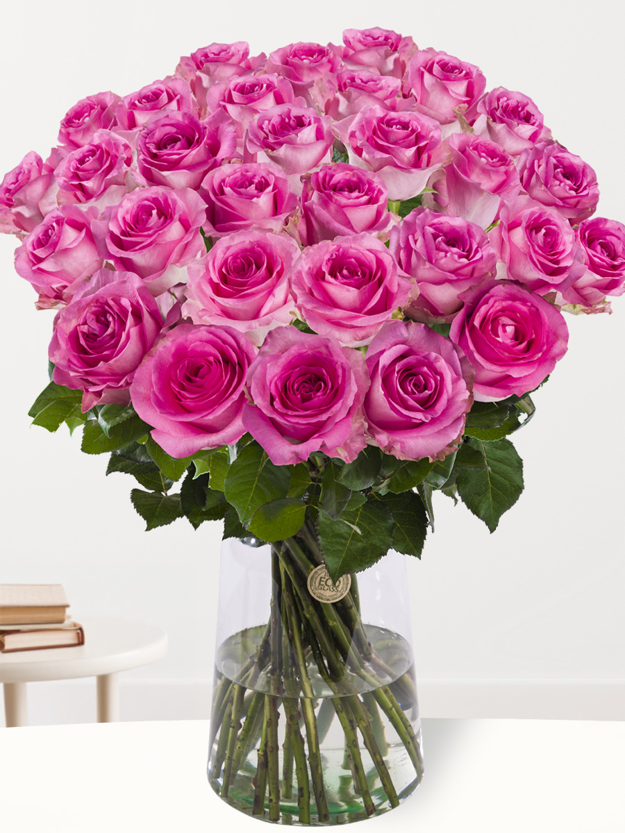 30 roze rozen - XL rozen - Revival