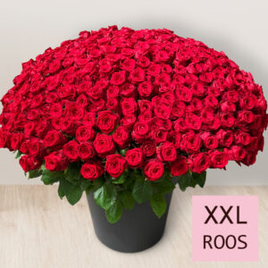 Boeket van 365 rode rozen - Red Naomi