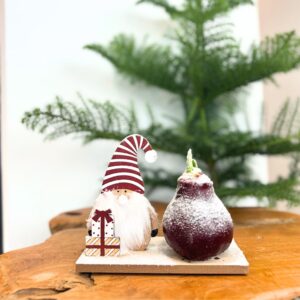 Amaryllis - Set van 3 - Hippeastrum'Winter Wonderland Mix'