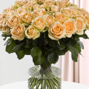 50 zalmkleurige rozen - XL rozen - Avalanche Peach