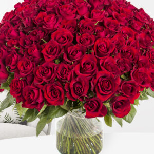 500 tot en met 1001 rode rozen - XL rozen - EverRed