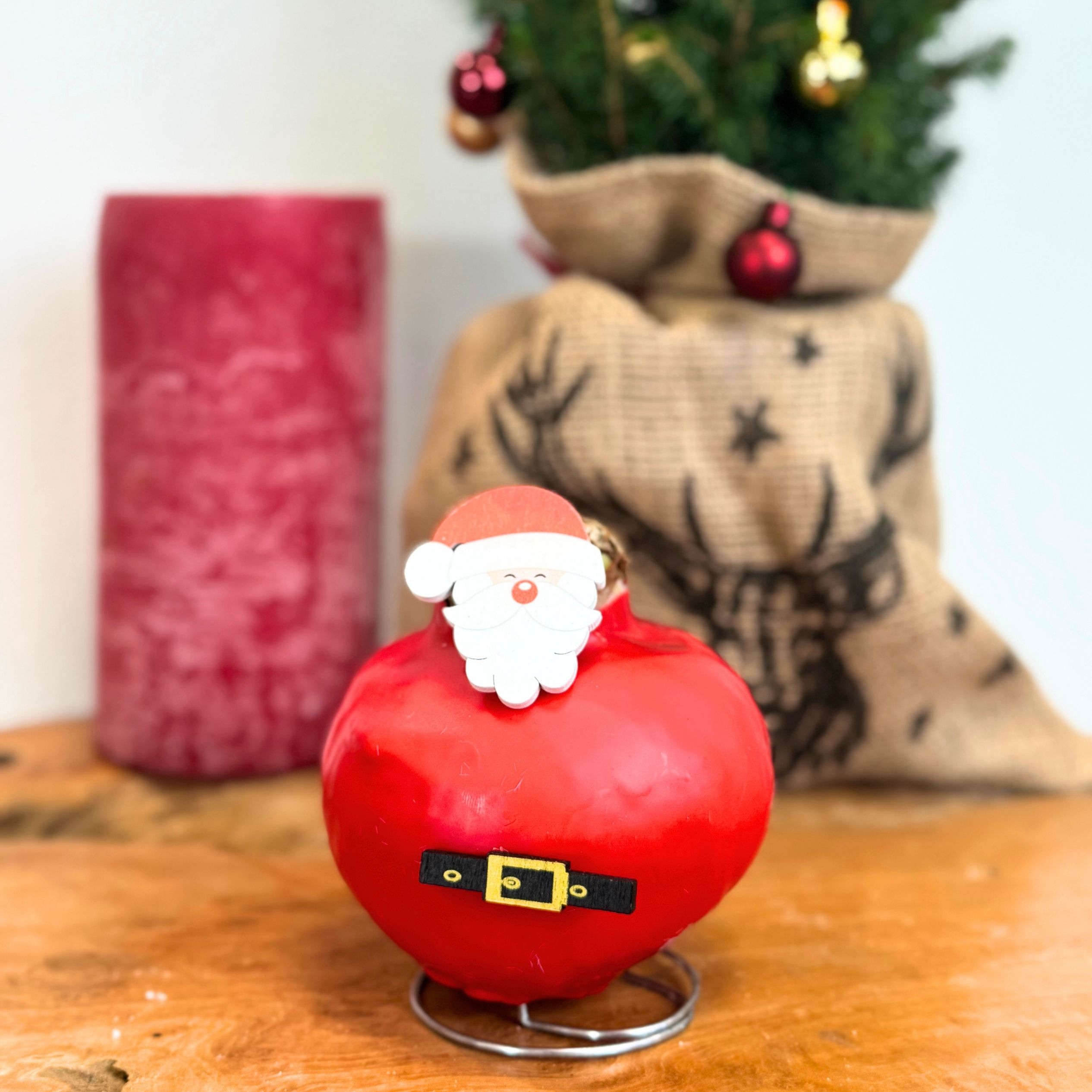 Amaryllis - Hippeastrum'Wax special Santa Claus'