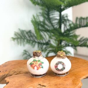 Amaryllis - Set van 2 - Hippeastrum'Porcelain Wax Mix'