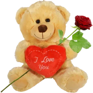 Bruine knuffelbeer 30cm met rood I love you hart