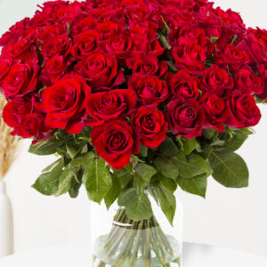 80 rode rozen - XL rozen - EverRed