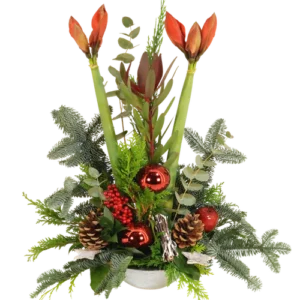 Kerststuk 2 Amaryllissen ca. 60 cm hoog