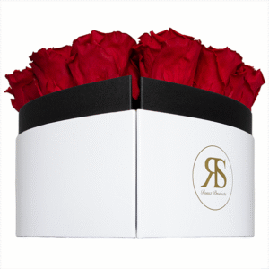 Flowerbox longlife Lana