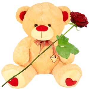 Knuffelbeer XXL ca. 75cm groot