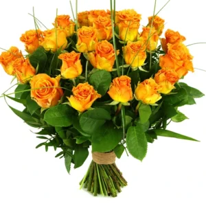 25 Oranje/zalm rozen