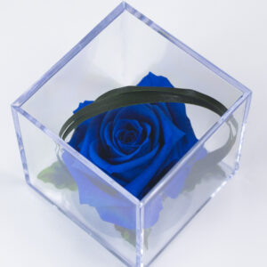 Blauwe eeuwige roos in acrylbox | Long life roos