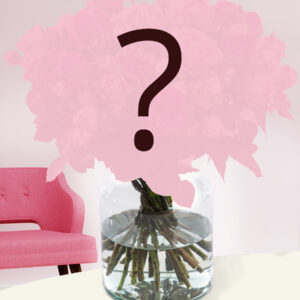 Boeket roze-rood - 24 sterk geurende rozen