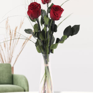 Drie bordeaux rode long life rozen inclusief vaasje