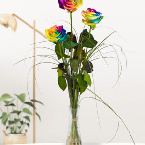 Drie regenboog rozen, inclusief vaasje