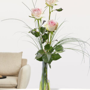 Drie roze rozen, inclusief vaasje - Sweet Revival