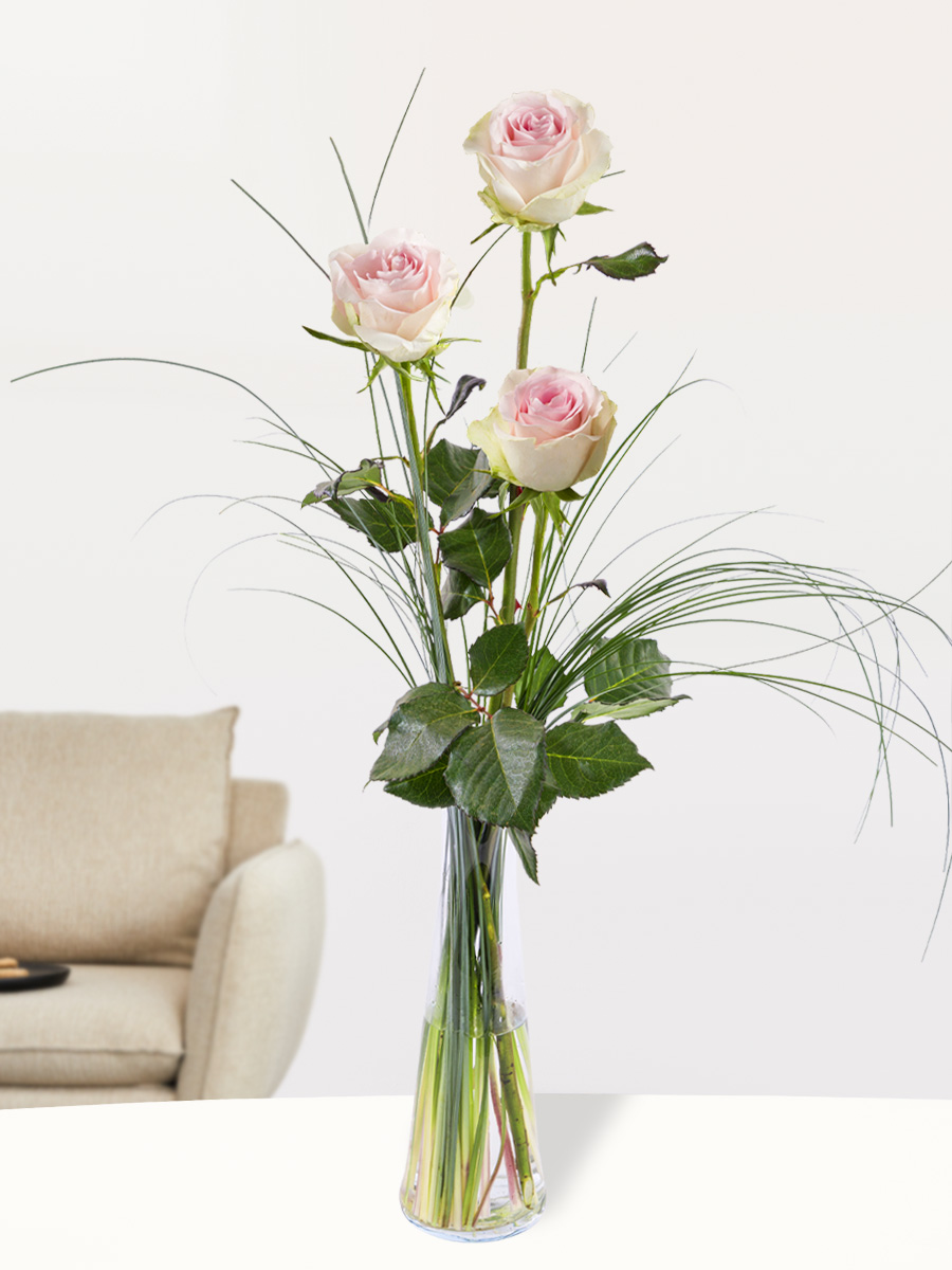 Drie roze rozen, inclusief vaasje - Sweet Revival