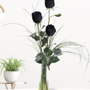 Drie zwarte rozen, inclusief vaasje