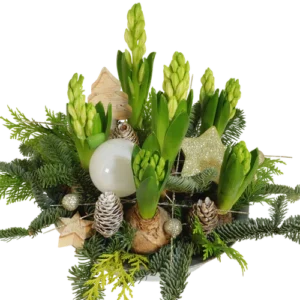 Kerststuk ca. Ø 23cm met witte hyacinten