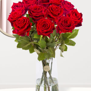 Een dozijn premium rode rozen - Red Naomi