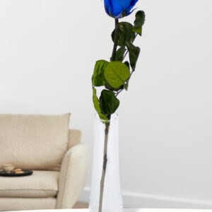 Enkele blauwe long life roos inclusief vaasje